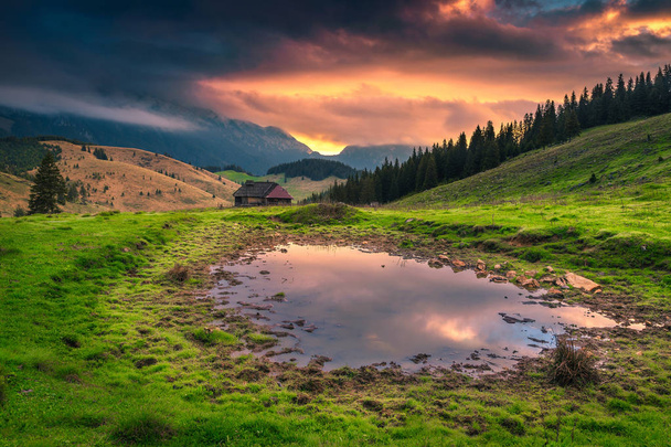 Krásná vysokohorská pastvina s mlžnými horami při východu slunce, Transylvánie, Rumunsko - Fotografie, Obrázek