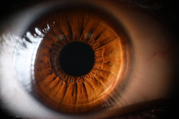 Olho marrom humano supermacro closeup
 - Foto, Imagem