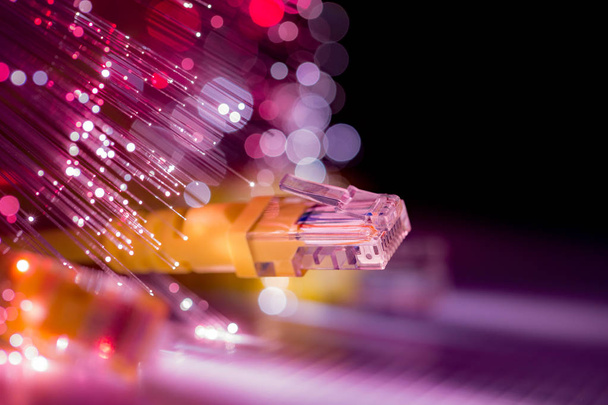 câble de connexion réseau avec fibre optique
 - Photo, image