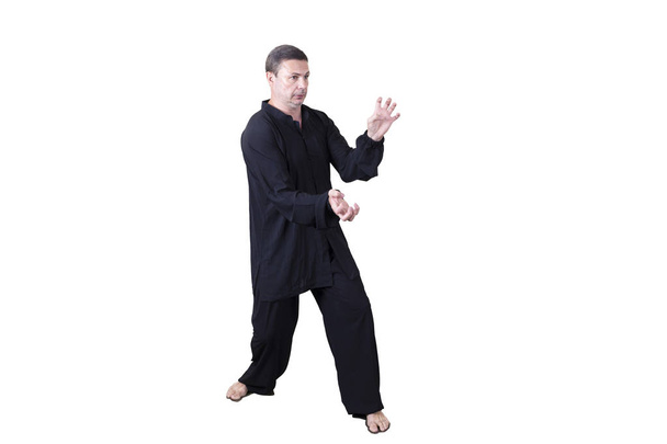 Volwassen atleet voert formele goju-ryu oefeningen uit. - Foto, afbeelding