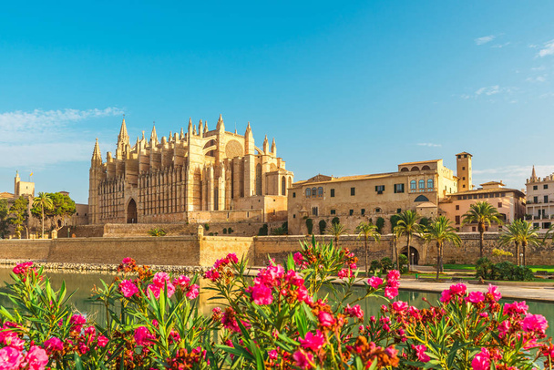 Katedra Santa Maria z Palma lub La Seu z kwiatami na Majorce, Majorka, Hiszpania - Zdjęcie, obraz