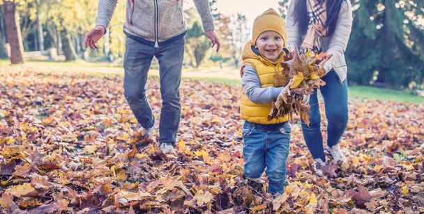 Happy family are playing in autumn park. Boy holding fallen leav - Φωτογραφία, εικόνα