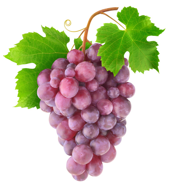 Hanging bunch of red grapes - Photo, Image