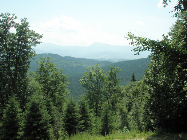 Велич Карпатських гір і лісів - Фото, зображення
