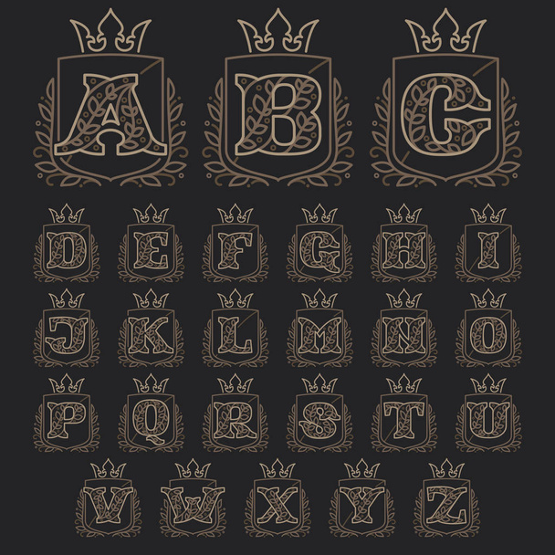 Alphabet consisting of floral pattern letters in a heraldic shie - Vektor, Bild
