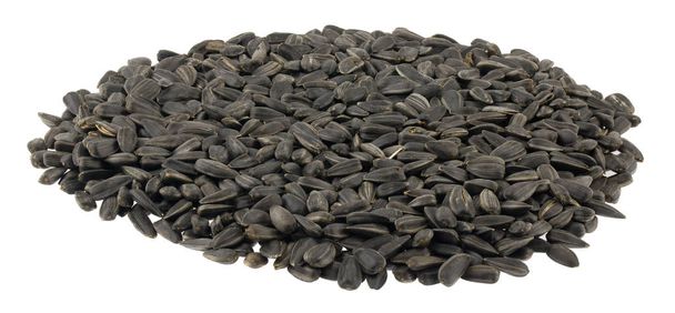 Uma pilha de sementes de girassol isolado em um fundo branco close-u
 - Foto, Imagem