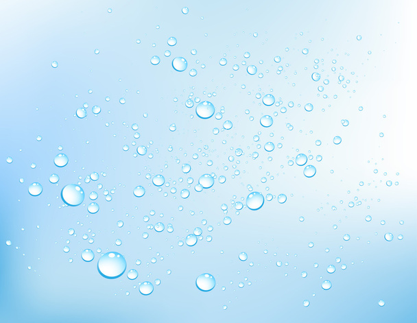 Burbujas de agua vectorial
 - Vector, Imagen