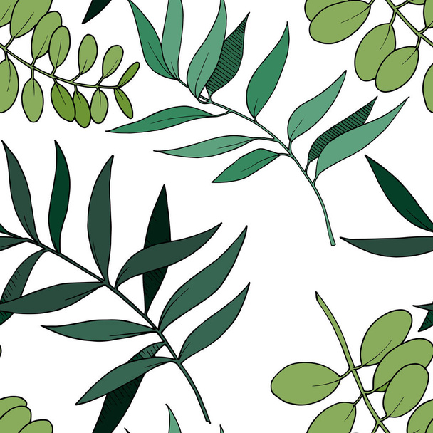 Vector Eucalyptus leaves branch. Black and white engraved ink art. Seamless background pattern. - Vektor, kép