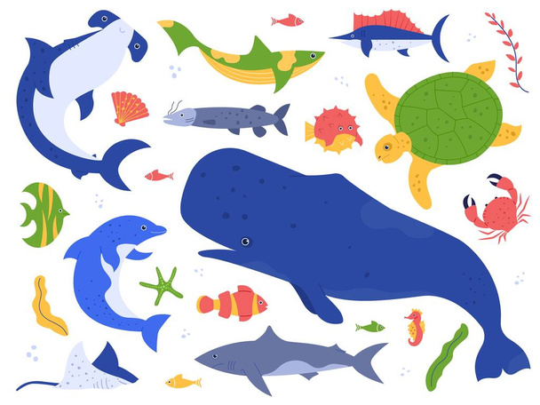 Especies de animales marinos. Animales del océano en su hábitat natural. Lindo conjunto de ilustración de ballenas, delfines, tiburones y tortugas vectoriales. Paquete de mundo submarino. Plantas acuáticas colección de algas y algas
 - Vector, imagen