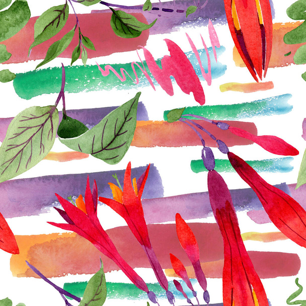 Red fuchsia floral botanical flowers. Watercolor background illustration set. Seamless background pattern. - 写真・画像