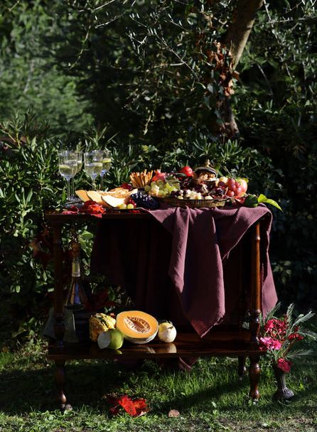 mesa en el jardín con fruta y vino
 - Foto, imagen