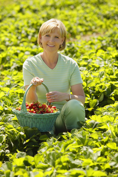 Woman Sitting In A Strawberry Field - Foto, afbeelding