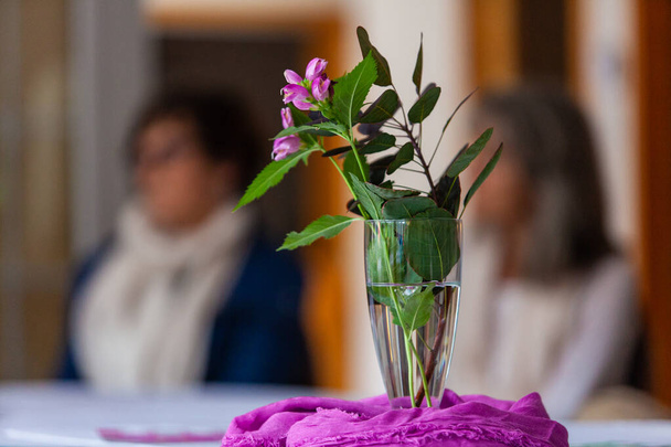 テーブルの上に置かれたプランターに葉を持つピンクの花 - 写真・画像