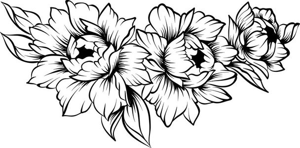 ラインアート手描きの境界線と花のピオニー - ベクター画像