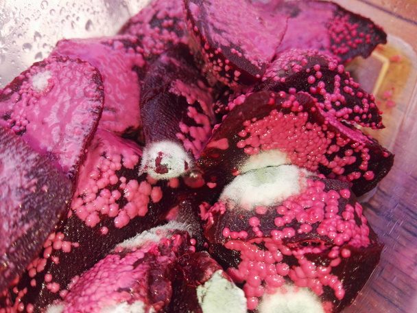 the beet mold has a bright pink color with white-dot growths - Photo, Image