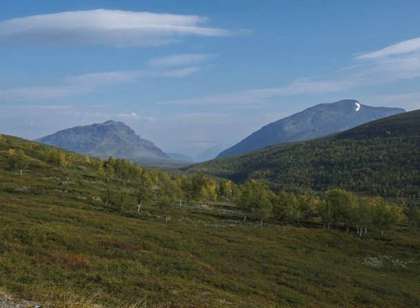 Όμορφη άγρια Λαπωνία τοπίο της φύσης με πράσινο θάμνους, χιονισμένα βουνά και δάσος σημύδας. Βόρεια Σουηδία καλοκαίρι στο μονοπάτι πεζοπορίας Kungsleden. - Φωτογραφία, εικόνα