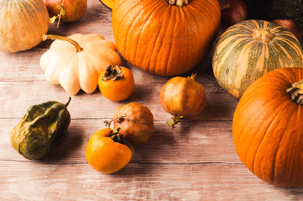 Autumn moody rustic background with pumpkins - 写真・画像