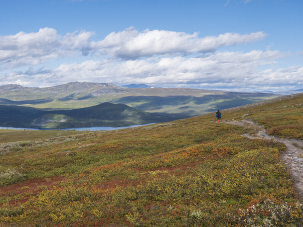 Magányos ember túrázó a Kungsleden túraútvonal Lappföldi természet zöld hegyek, folyó Lulealven, szikla sziklák, őszi színes bokrok, nyírfa és Heath. Kék ég fehér felhők. - Fotó, kép