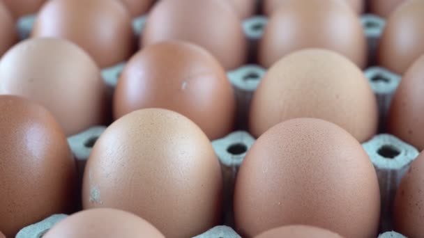 Крупним планом відео зйомки курячих яєць з лотка
 - Кадри, відео