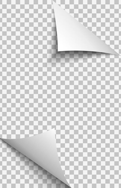 Curled corners of transparent paper sheet - Vector, Image