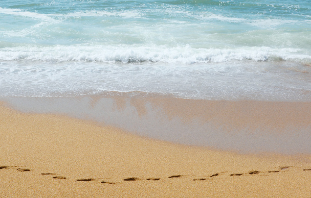 Traces sur le sable le long de l'océan
 - Photo, image