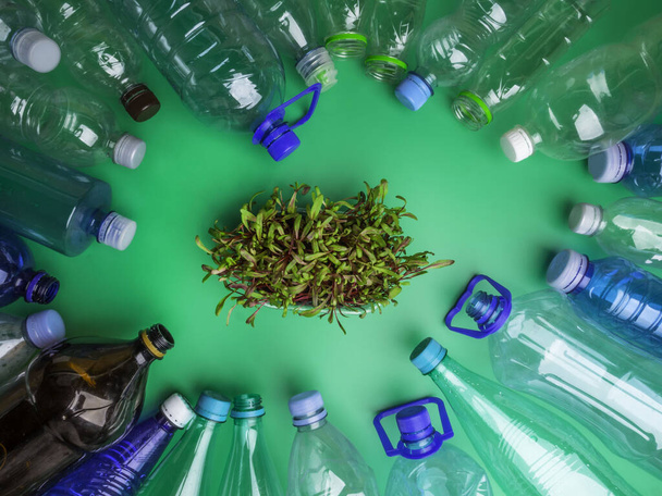 πλαστικά μπουκάλια και πράσινα μικροπράσινα λαχανικά, φύλλα, Ανακυκλώστε τη διαχείριση αποβλήτων και σώστε την ιδέα του πλανήτη - Φωτογραφία, εικόνα