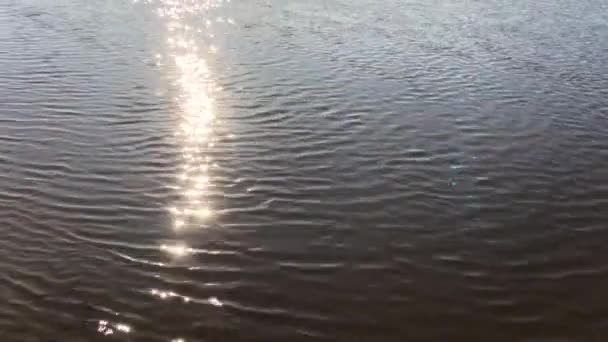 Letní slunce se odráží od vody. Sluneční paprsky září na vlnách jezera. Zlatý třpyt vody z rybníka. - Záběry, video