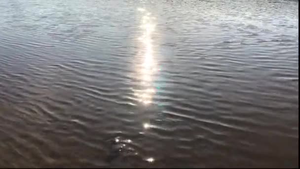 Letní slunce se odráží od vody. Sluneční paprsky září na vlnách jezera. Zlatý třpyt vody z rybníka. - Záběry, video
