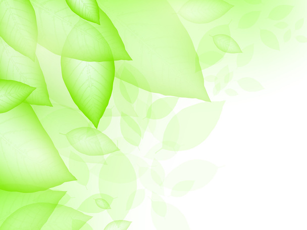 Green leaves - Vecteur, image