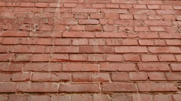 Mur de brique rouge comme fond de texture - Séquence, vidéo