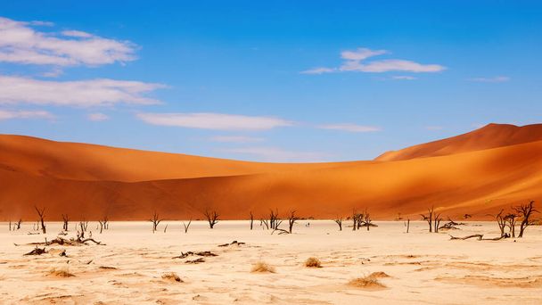 Deadvlei híres látnivaló Namíbiában.. - Fotó, kép