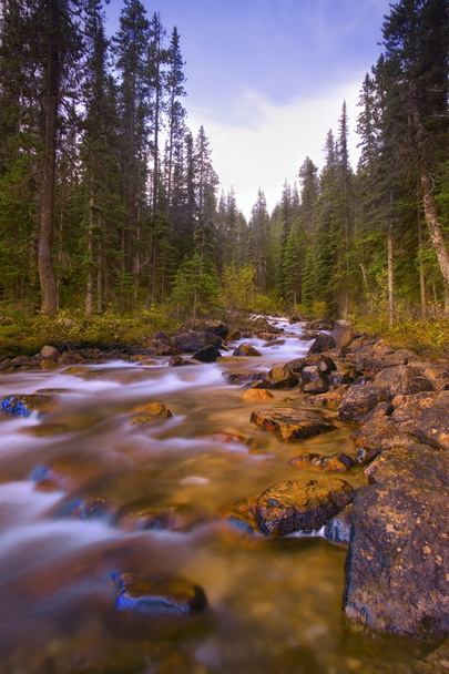 Moraine Creek In Banff, Альберта, Канада
 - Фото, изображение