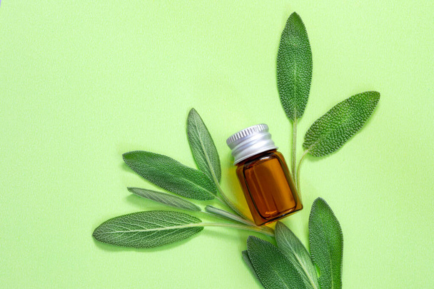 Close up fresh green sage herb leaf with bottle of essential oil on green background , herb essence concept - Photo, Image