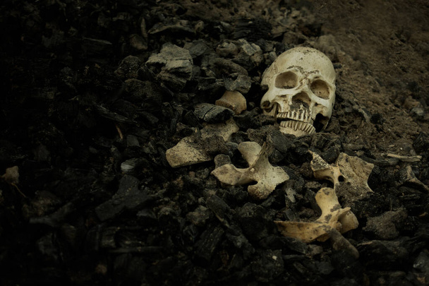 Cráneo y huesos excavados desde el hoyo en el cementerio de miedo que tiene
 - Foto, imagen