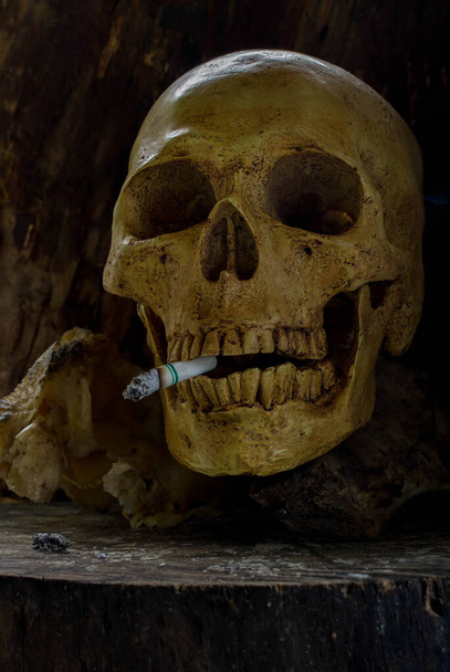 Nature morte crâne et cigarette gens fument la cigarette et arriver à
 - Photo, image