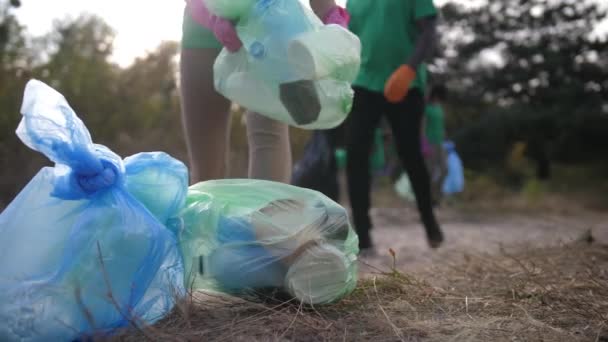 Haufen Müllsäcke mit gesammeltem Plastikmüll - Filmmaterial, Video