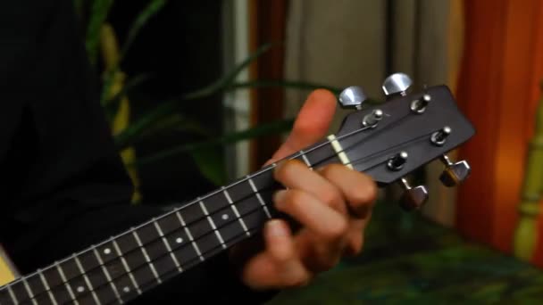Молодой человек играет на маленькой укулеле
 - Кадры, видео
