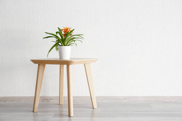 Stylový stůl s pokojovou rostlinou u bílé stěny - Fotografie, Obrázek