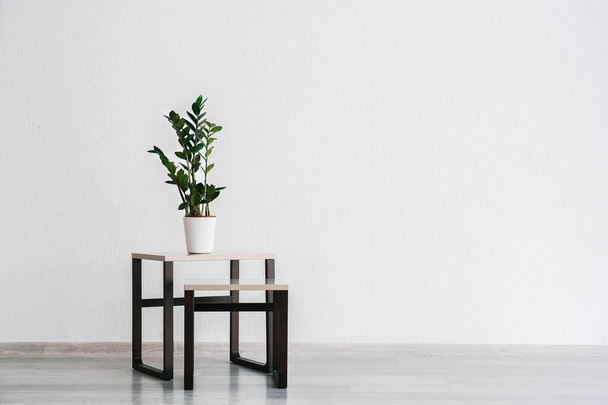 Stílusos asztal szobanövényekkel a fehér fal közelében - Fotó, kép