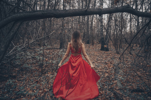 Young beautiful woman in the long red dress is walking along foggy mysterious forest - Fotó, kép