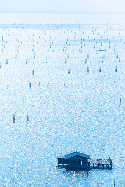 Légi kilátás, sok a hagyományos halcsapda a tóban.. - Fotó, kép