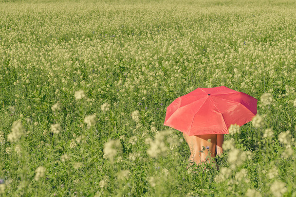 Naked young female with red umbrella in the field with yellow flowers on a sunny summer day - Fotoğraf, Görsel