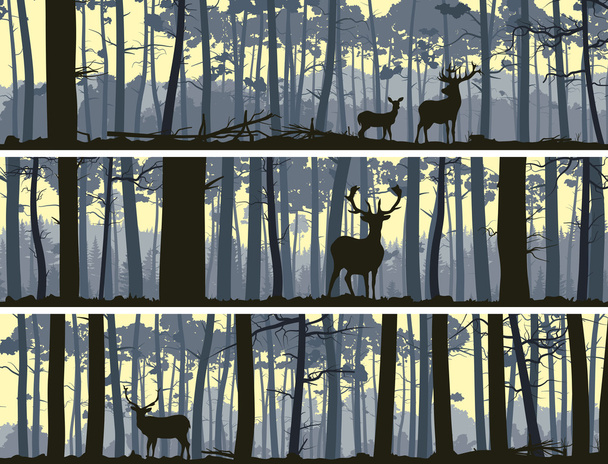 Horizontal banners of wild animals in wood. - Vector, Image