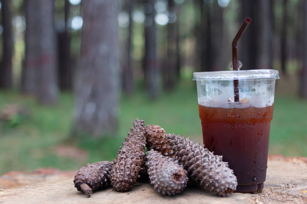 Холодна кава і насіння сосни на дереві сосен
 - Фото, зображення