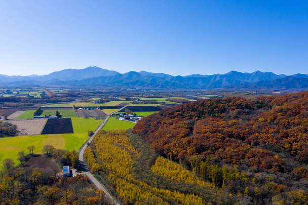 paesaggio in autunno tokachi hokkaido
 - Foto, immagini