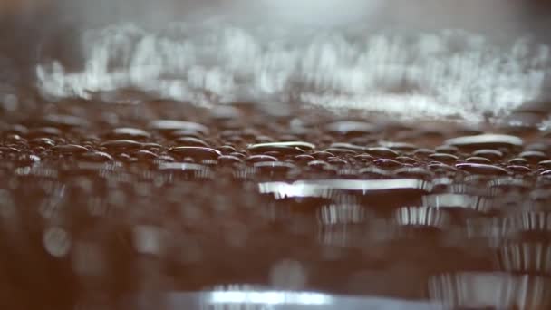 Raindrops on the roof of a car. Close-up of droplets in the evening. Focus moves - Footage, Video