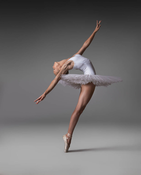 Балерина позирует в балетных пачках и пуантах
. - Фото, изображение