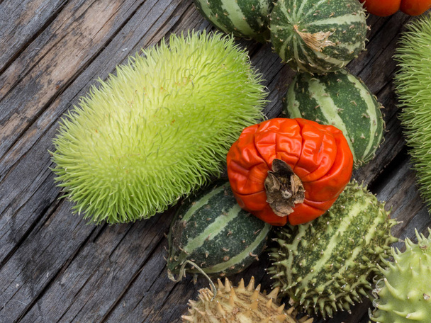 Piros és zöld őszi gyümölcs dekoráció - Fotó, kép