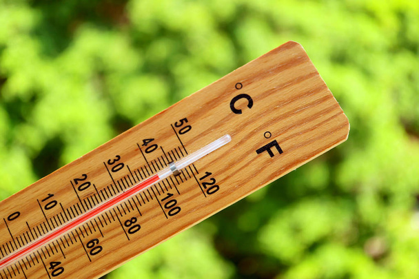 Закрыть термометр, показывающий высокую температуру против зеленых деревьев в солнечном свете летом
 - Фото, изображение