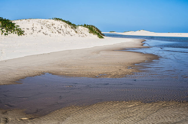 Bílá pláž s tropickým pískem a korály s rostlinami a modrým mořem pozadí. Mosambik. Vilankulos. Vilanculos - Fotografie, Obrázek